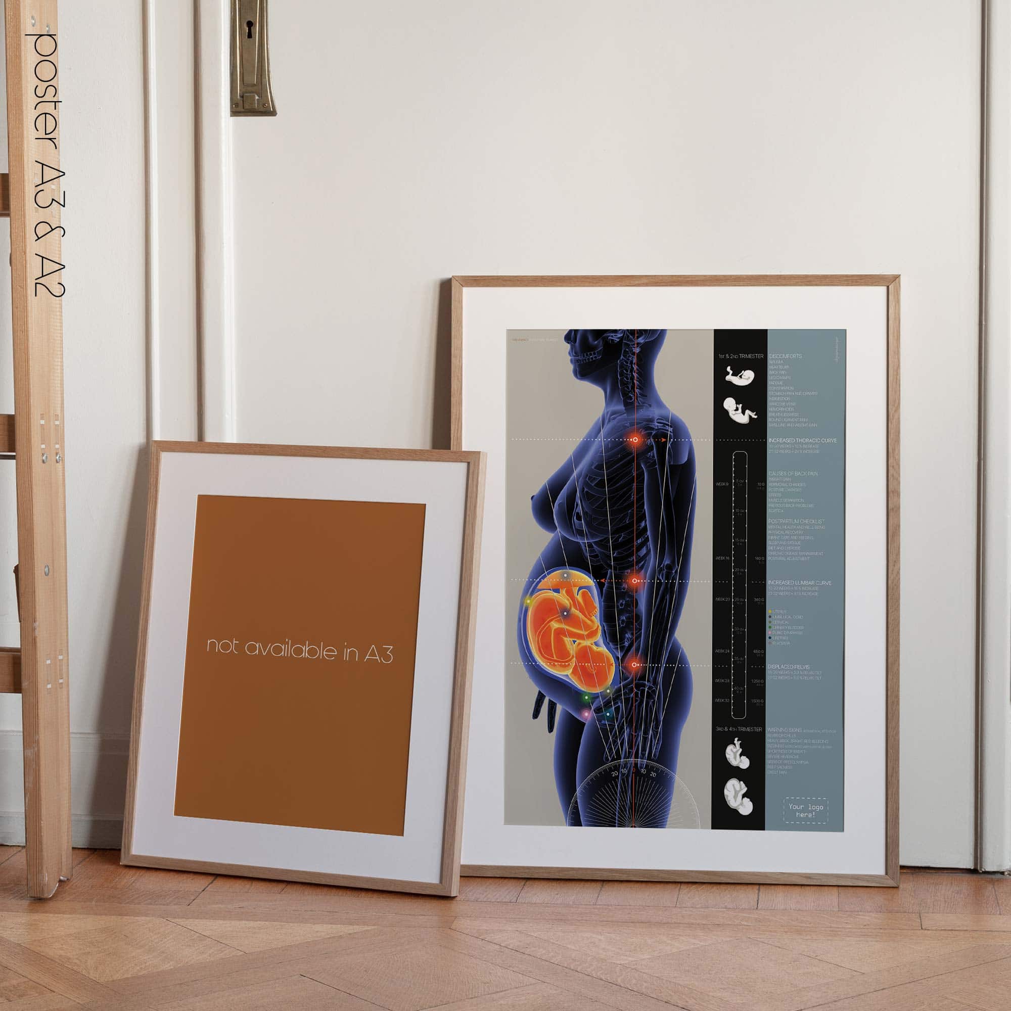 Pregnancy and Postural Changes