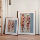 Sclerotomes Pain Map – educare.design Mappa del dolore degli sclerotomi. Opere d'arte di anatomia e fisiologia da educare.design