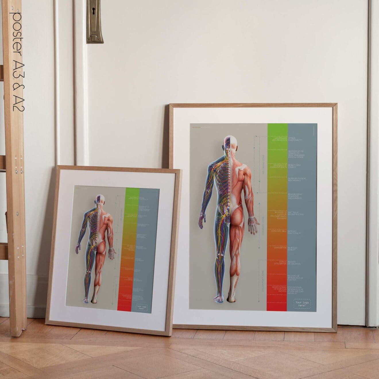 Chiropractic Treatment Plan (Road-to-Recovery)