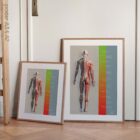 Treatment Plan (Road-to-Recovery) – educare.design Chiropractic Treatment Plan (Road-to-Recovery)