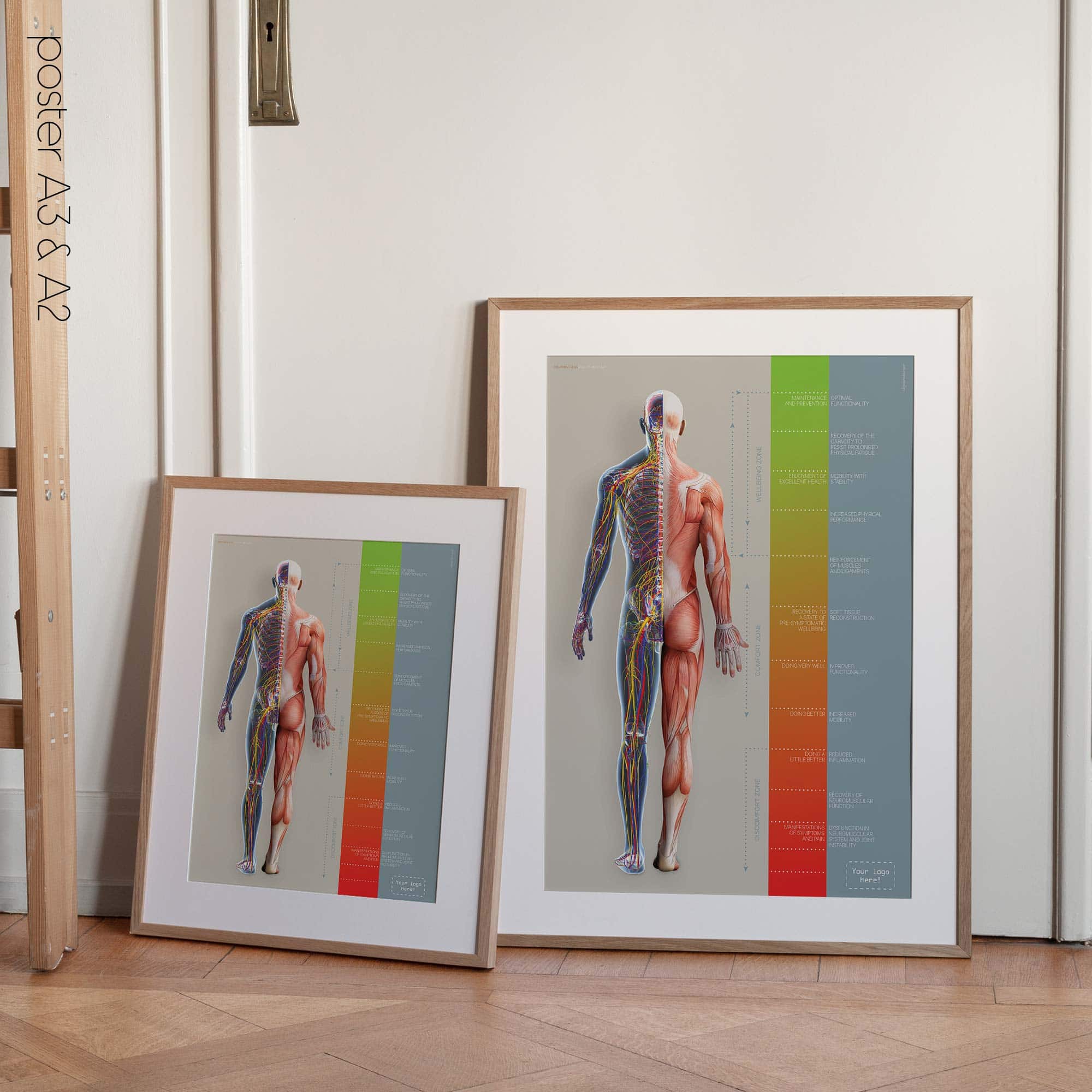 Chiropractic Treatment Plan (Road-to-Recovery)