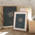 Eye, Lateral Surface. Vintage anatomy and physiology artwork from educare.design