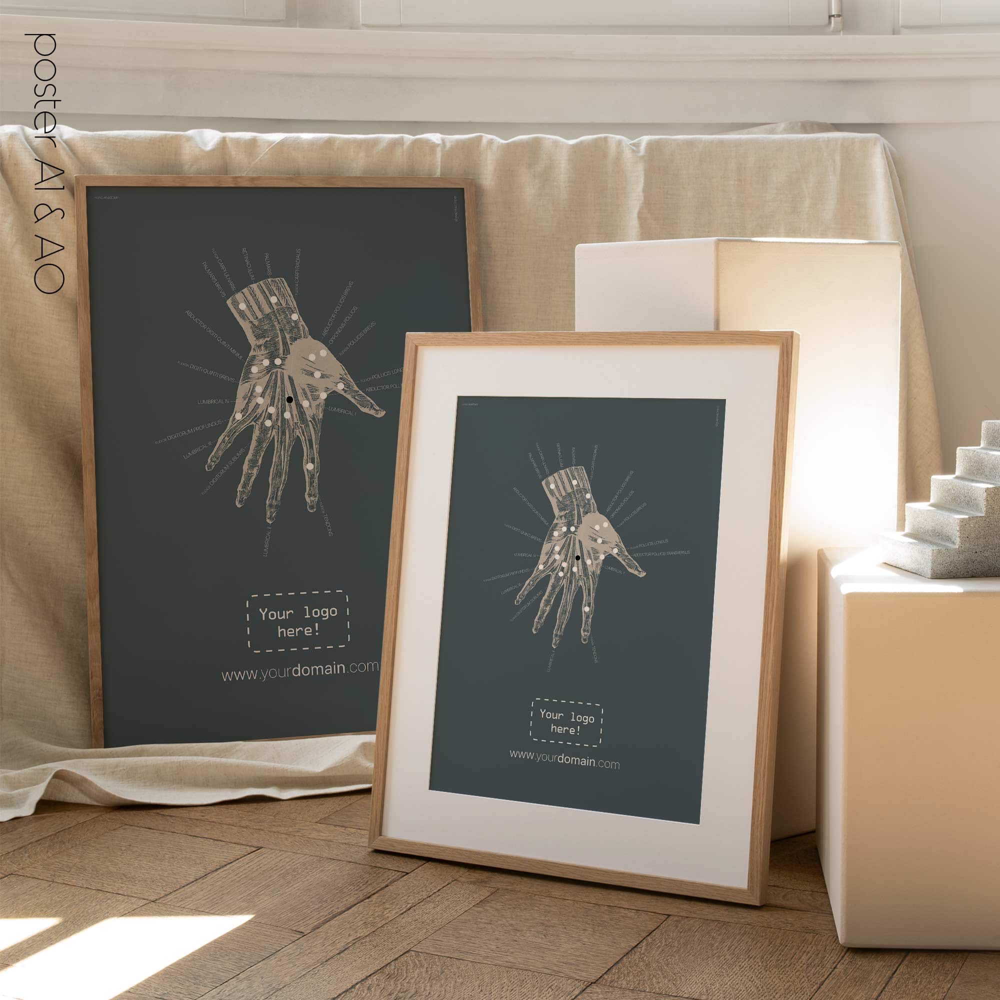 Anatomie der Hand. Klassische Anatomie von educare.design