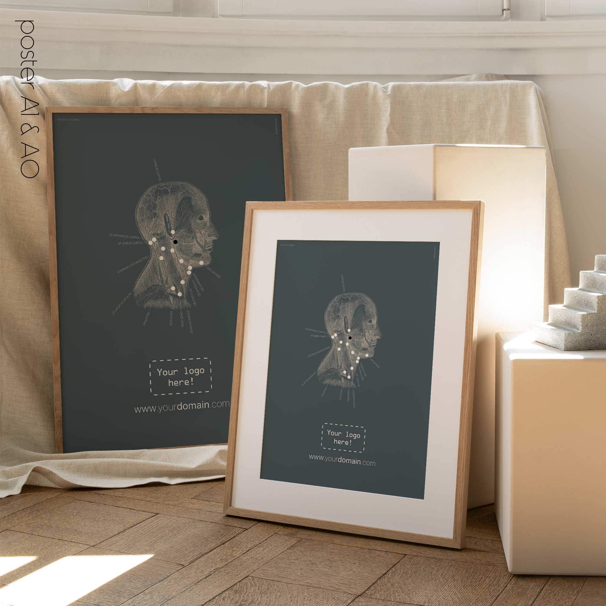 Neck Muscles, Lateral. Vintage anatomy and physiology artwork from educare.design