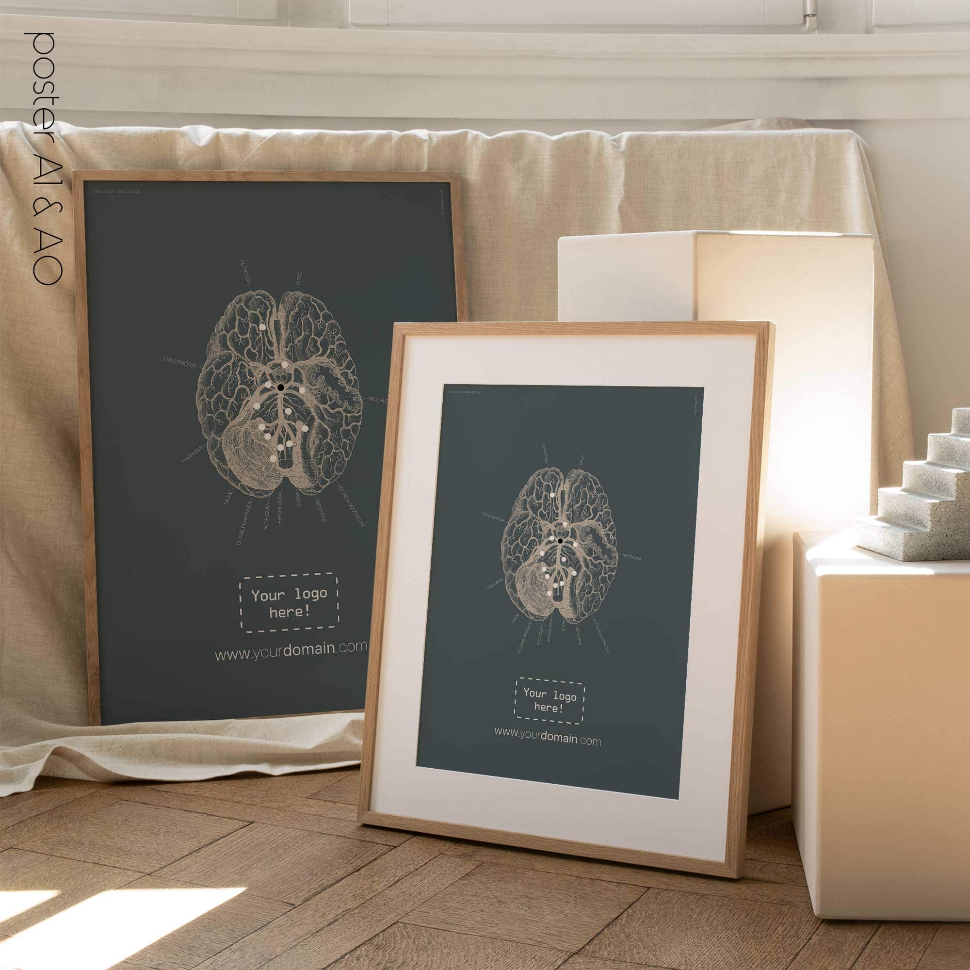 Nervi cranici, sezione trasversale. Anatomia d'epoca da educare.design