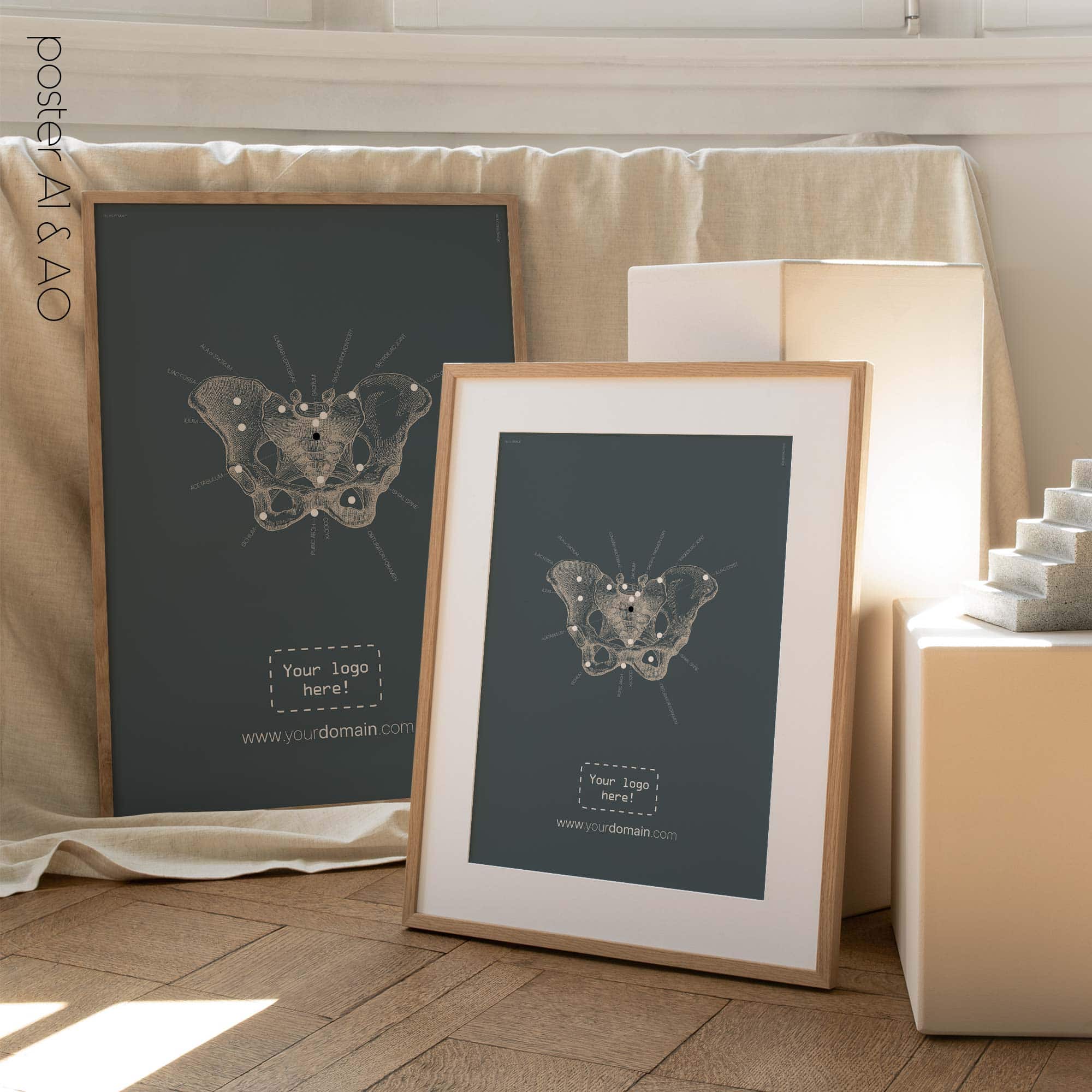 Anatomy of the pelvis