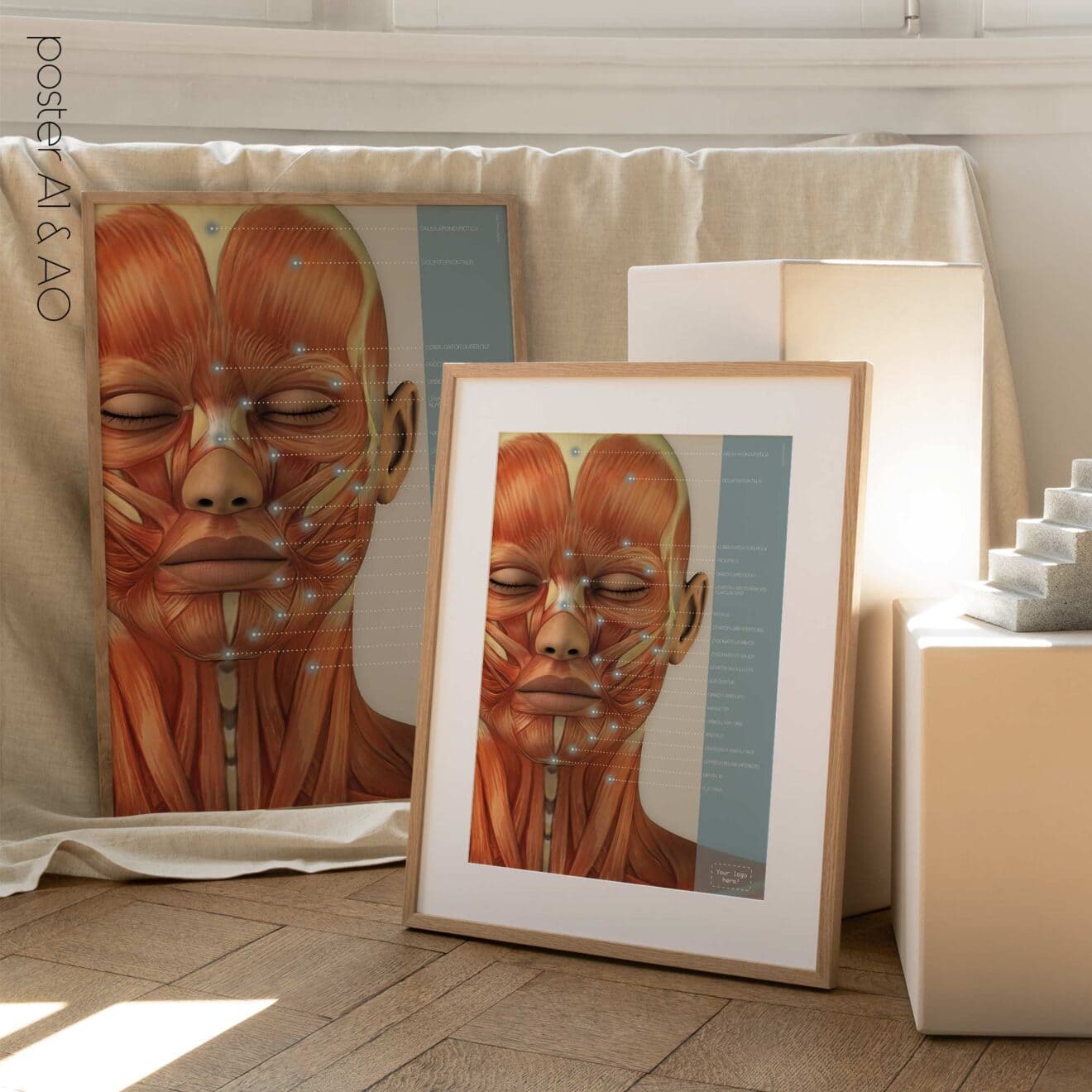 Músculos craneofaciales. Obras de arte de anatomía y fisiología de educare.design