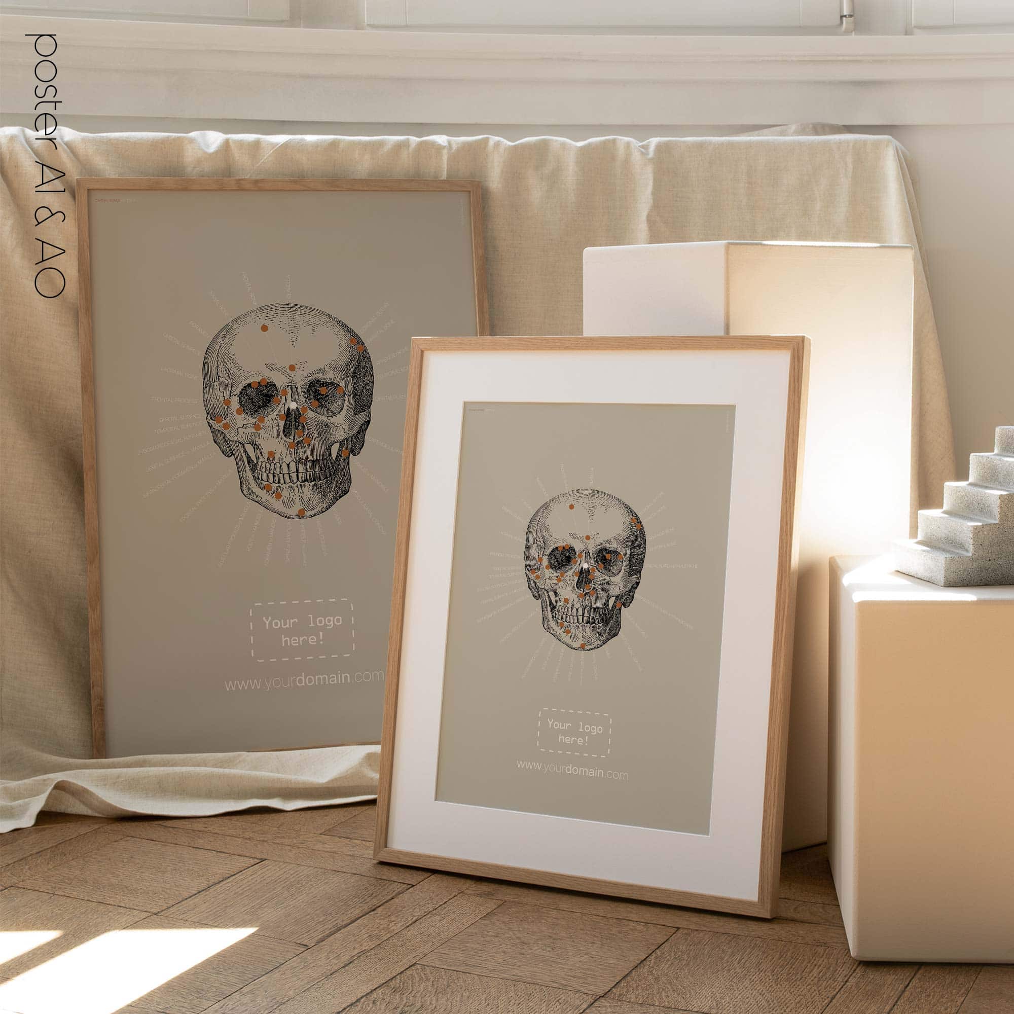 Anterior Cranial Bones