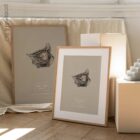 Eye, Lateral Surface. Vintage anatomy and physiology artwork from educare.design