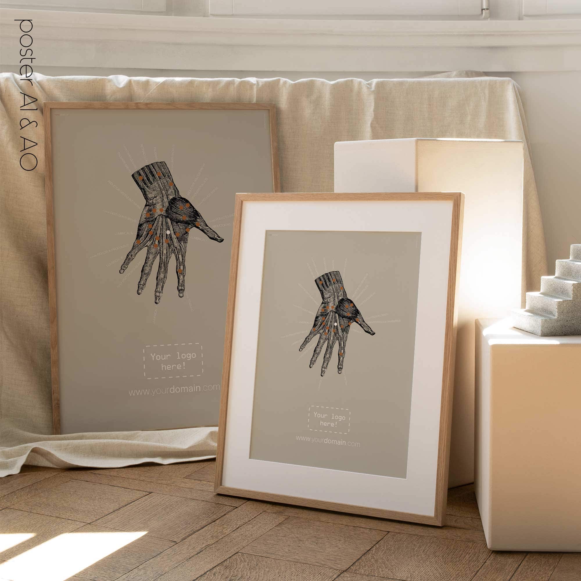 Anatomie der Hand. Klassische Anatomie von educare.design