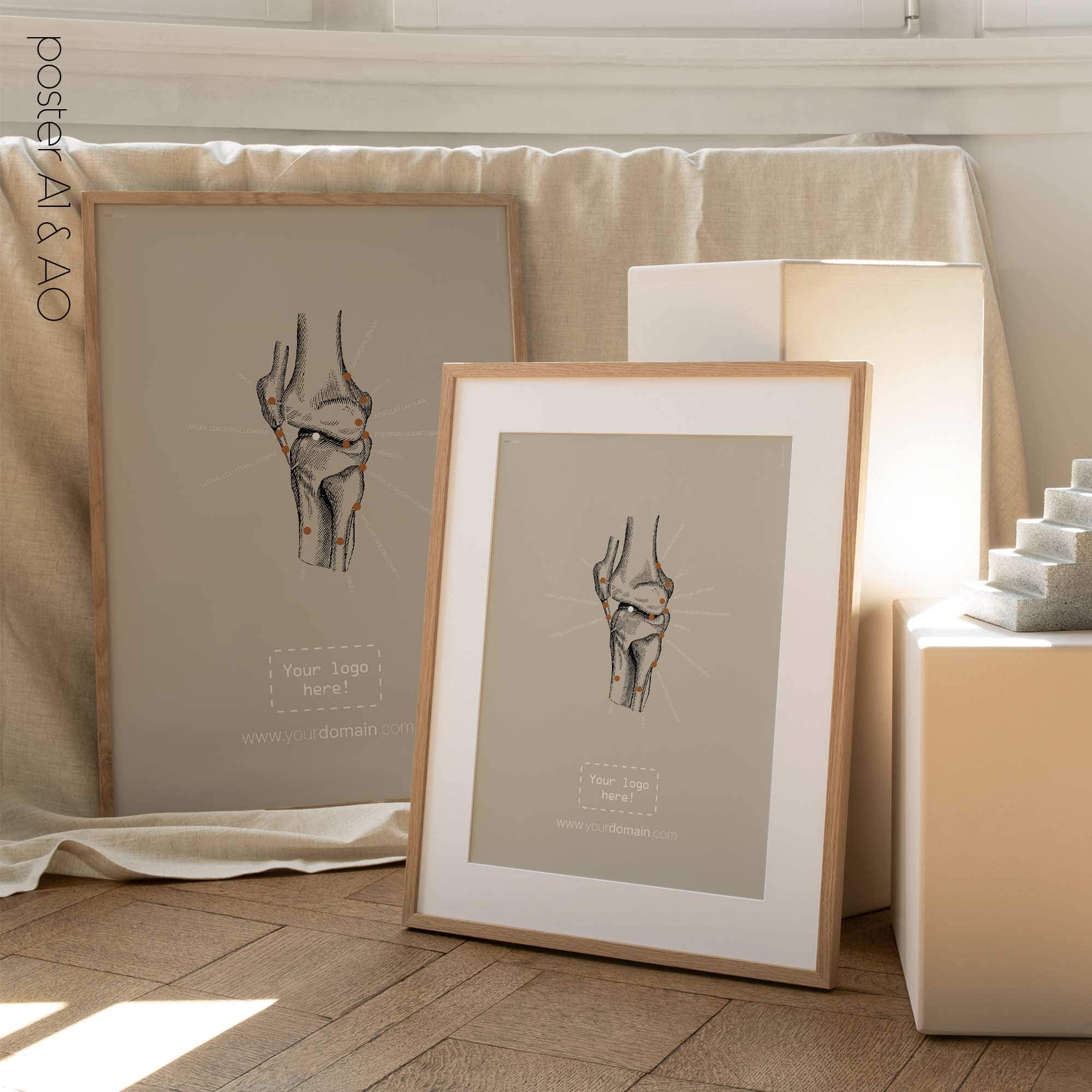 Genou humain, vue latérale. Œuvre d'art vintage sur l'anatomie et la physiologie d'educare.design