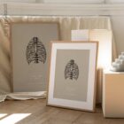 Cura delle costole umane, parte anteriore. Opere d'arte vintage di anatomia e fisiologia da educare.design