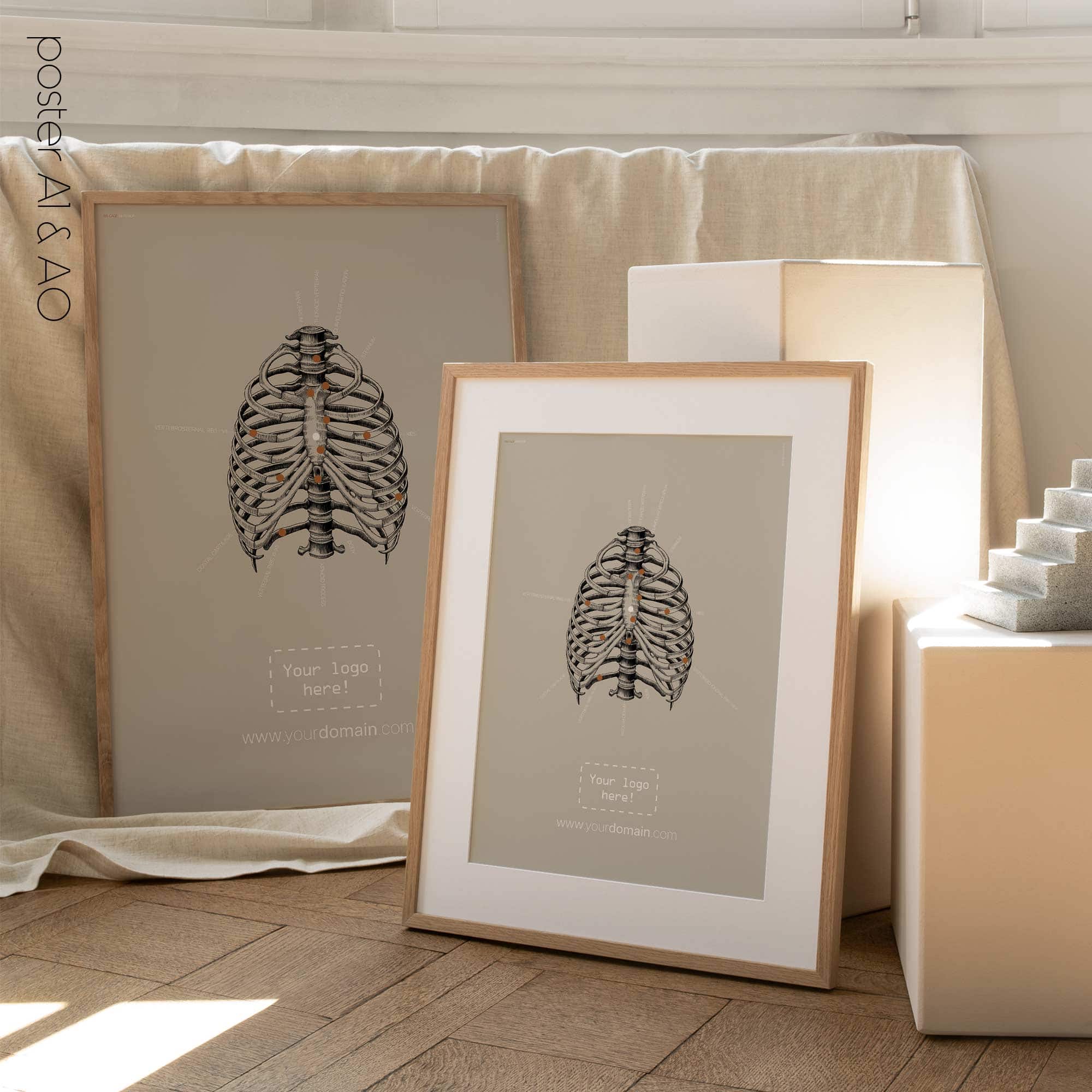 Cura delle costole umane, parte anteriore. Opere d'arte vintage di anatomia e fisiologia da educare.design