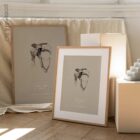 Human Shoulder, Frontal view. Vintage anatomy and physiology artwork from educare.design