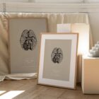 Nervi cranici, sezione trasversale. Anatomia d'epoca da educare.design