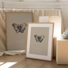 Anatomy of the pelvis