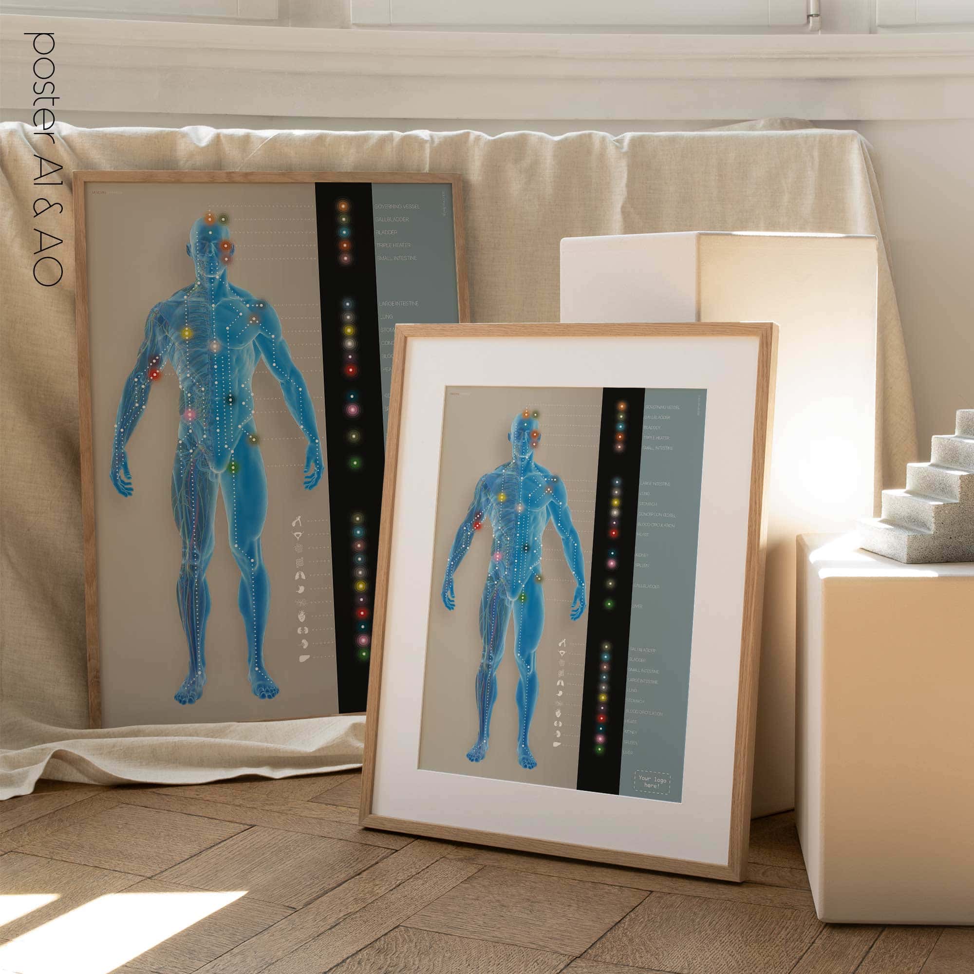 Canali meridiani. Opere d'arte di anatomia e fisiologia da educare.design