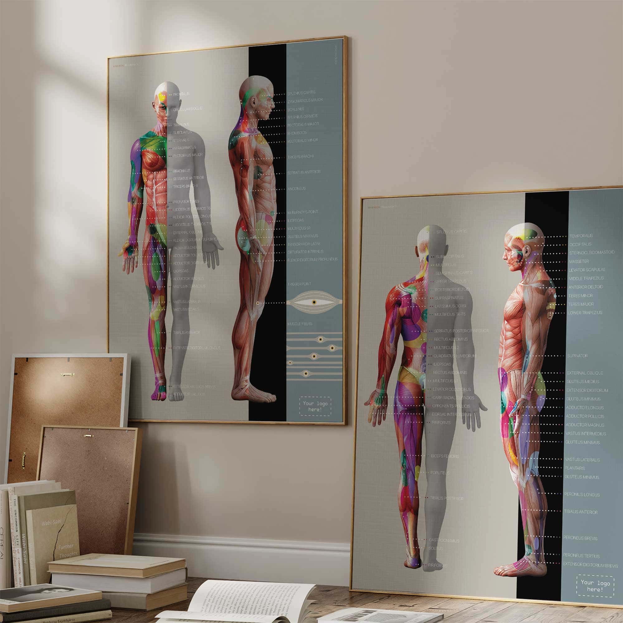 Tableau des points de déclenchement myofasciaux