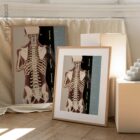 Postural Assessment and Scoliosis. Anatomy and physiology artwork from educare.design