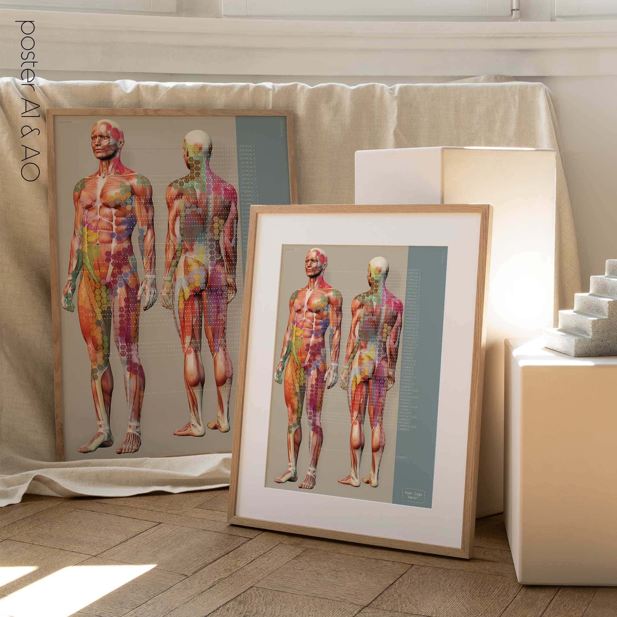 Mappa del dolore degli sclerotomi. Opere d'arte di anatomia e fisiologia da educare.design