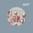 NEP: Neuro-Emotional Points anatomy chart for clinics