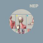 NEP: Neuro-Emotional Points anatomy chart for clinics