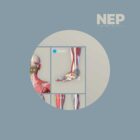 NEP: Neuro-Emotional Points anatomy chart for clinics