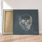 Anterior Cranial Bones