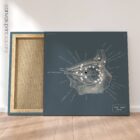 Eye, Lateral Surface. Vintage anatomy and physiology artwork from educare.design