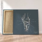 Genou humain, vue latérale. Œuvre d'art vintage sur l'anatomie et la physiologie d'educare.design