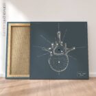 Lumbar Vertebrae. Vintage anatomy and physiology artwork from educare.design