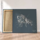 Orecchio, sezione trasversale. Anatomia d'epoca da educare.design