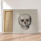 Anterior Cranial Bones