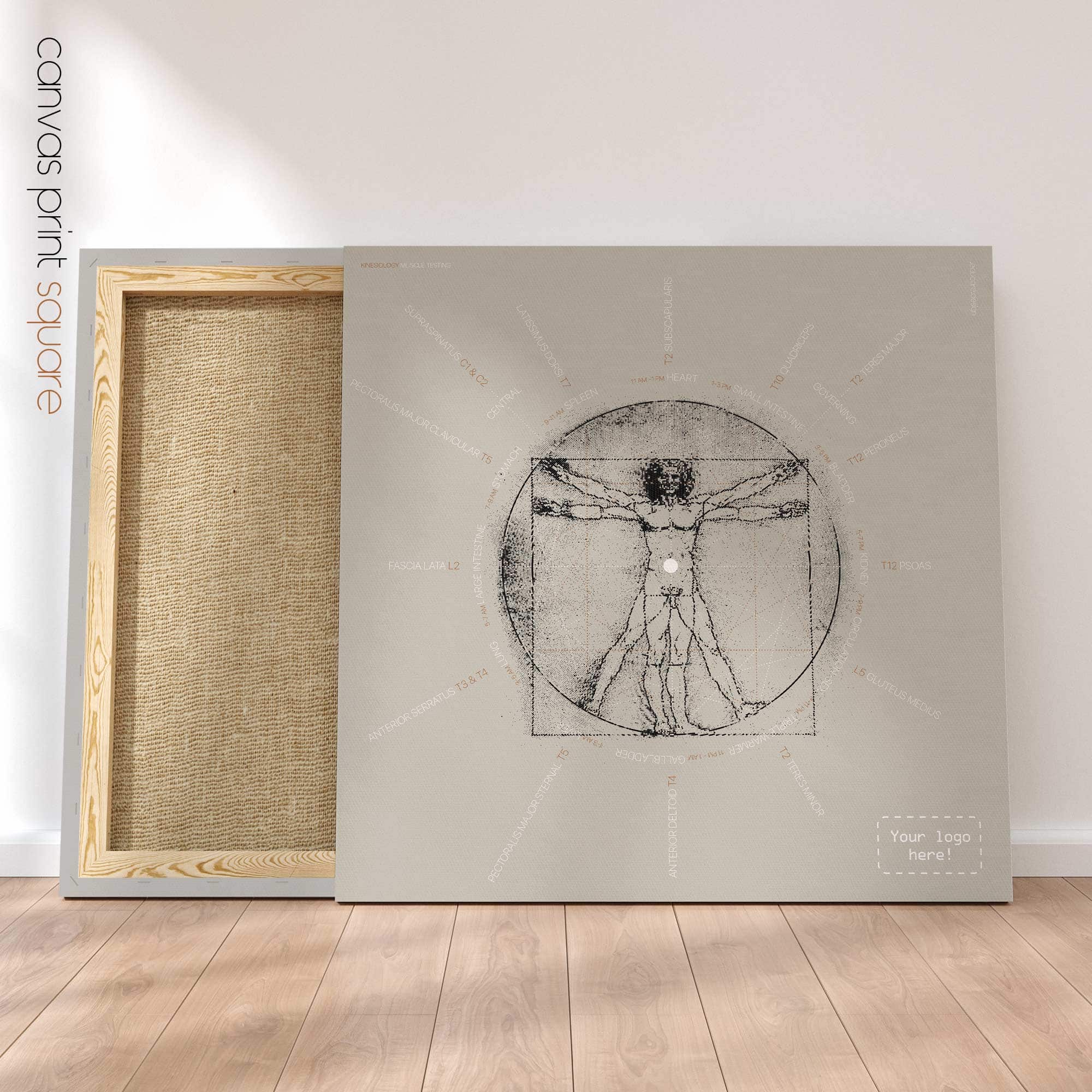 Kinesiology Muscle Testing. Vintage anatomy and physiology artwork from educare.design