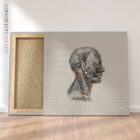 Neck Muscles, Lateral. Vintage anatomy and physiology artwork from educare.design