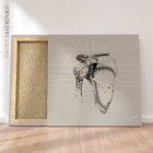 Human Shoulder, Frontal view. Vintage anatomy and physiology artwork from educare.design