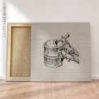 Thoracic Vertebrae. Vintage anatomy and physiology artwork from educare.design