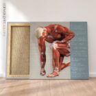 Injuries and Ailments (chronic and acute) – educare.design Lesioni e disturbi. Opere d'arte di anatomia e fisiologia da educare.design