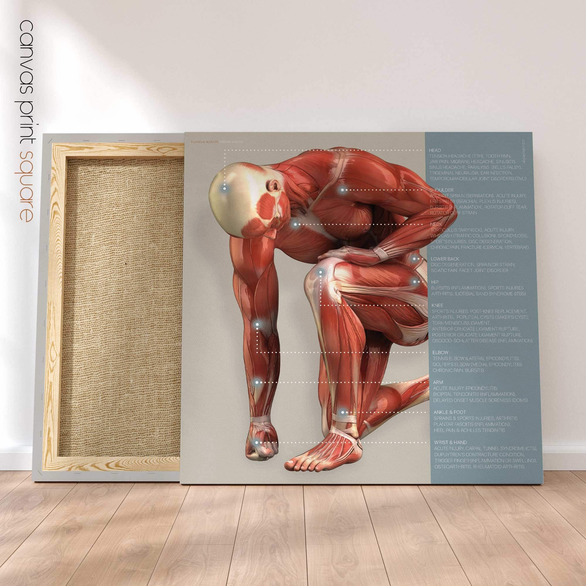 Lesioni e disturbi. Opere d'arte di anatomia e fisiologia da educare.design