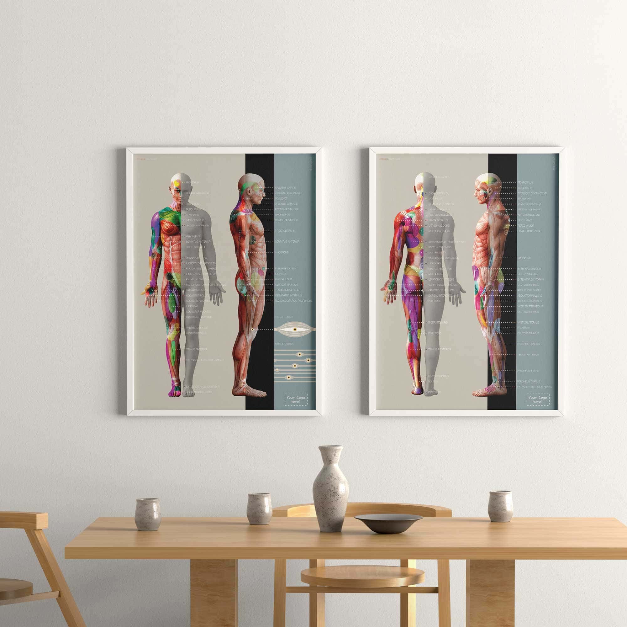 Myofascial Trigger Points Chart