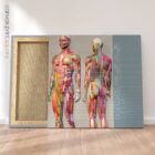 Sclerotomes Pain Map – educare.design Mappa del dolore degli sclerotomi. Opere d'arte di anatomia e fisiologia da educare.design