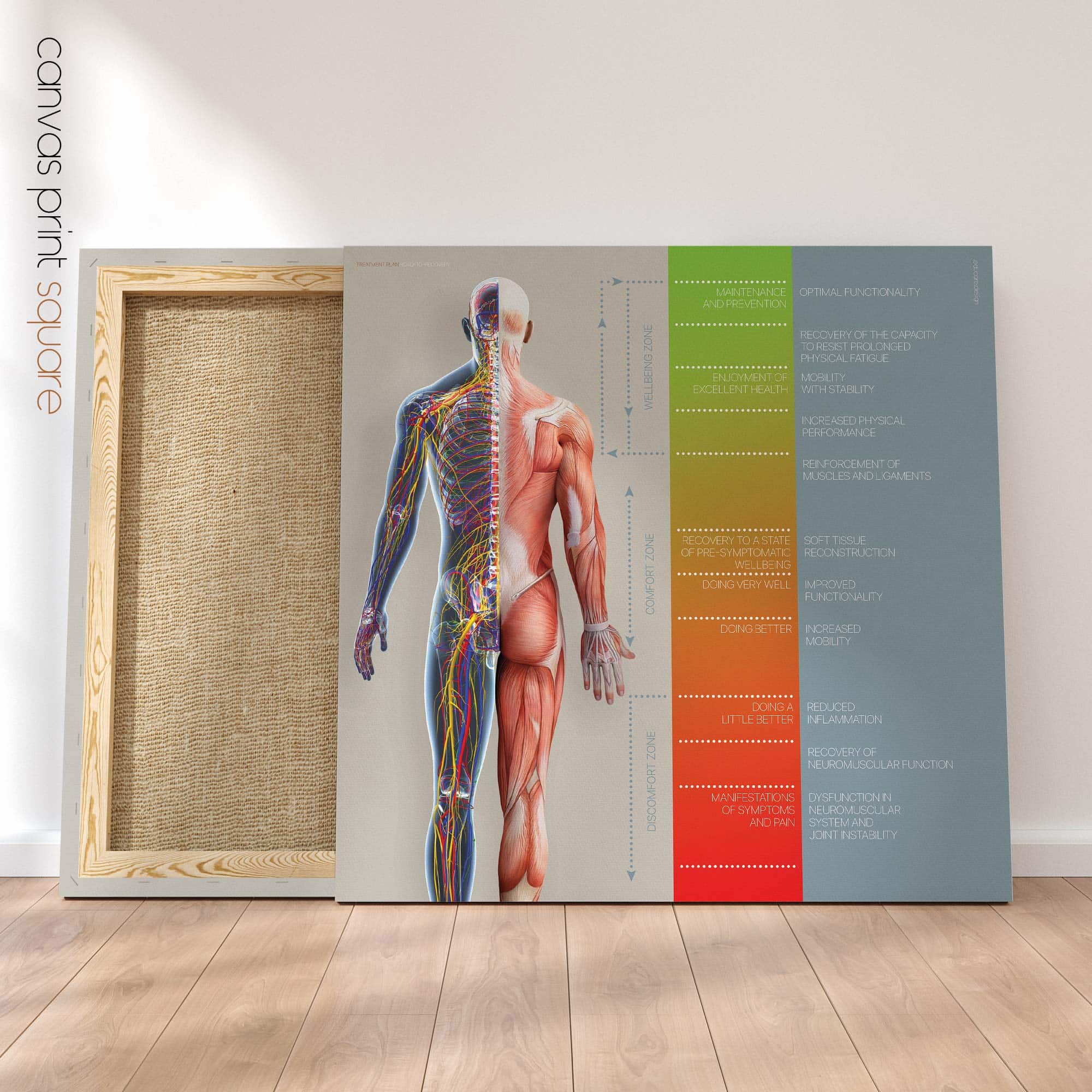 Chiropractic Treatment Plan (Road-to-Recovery)