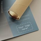 Muscular System, Anterior – educare.design Système musculaire