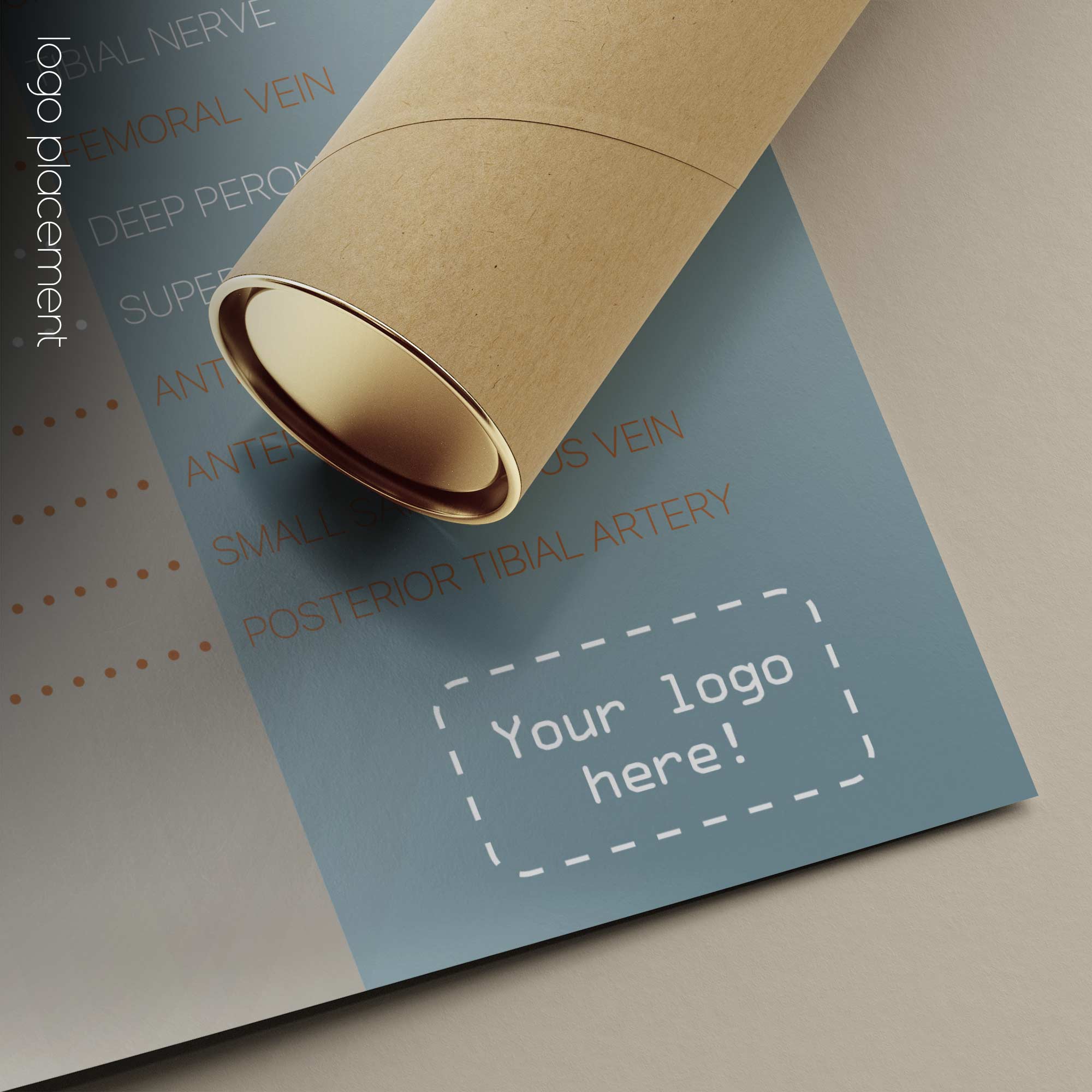 Circulatory and Nerves Systems. Anatomy and physiology artwork from educare.design