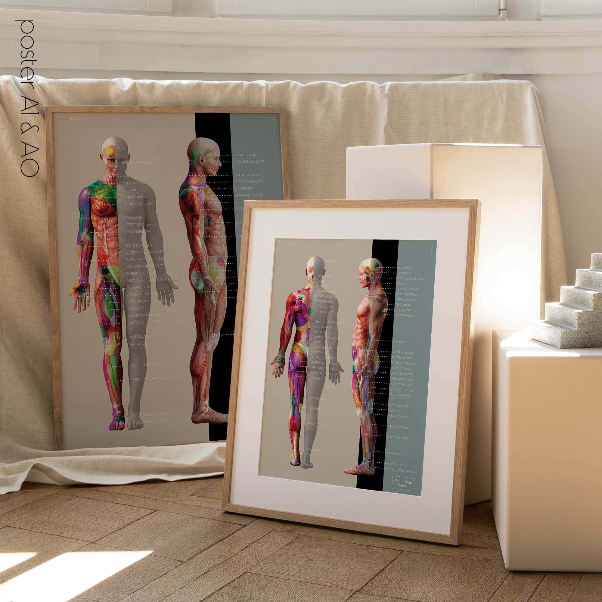 Myofascial Trigger Points Chart