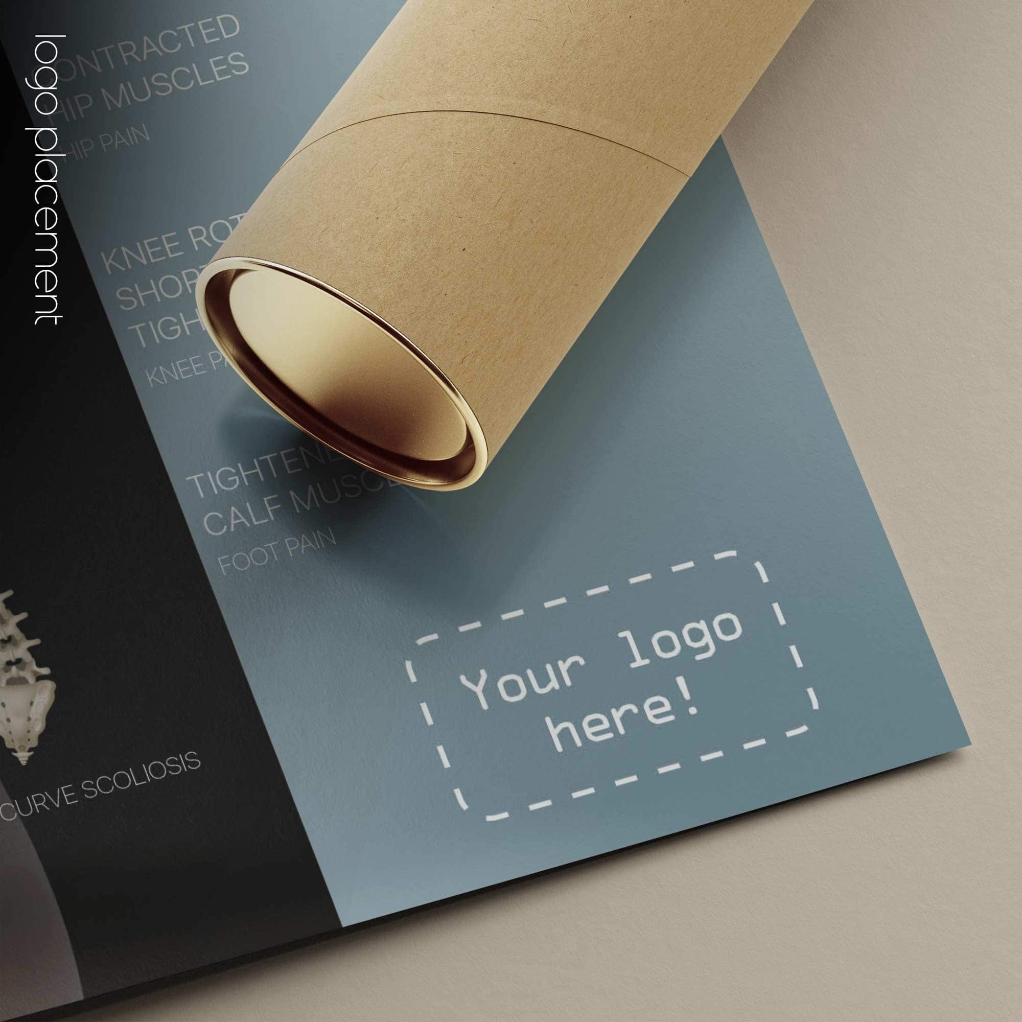 Postural Assessment and Scoliosis. Anatomy and physiology artwork from educare.design