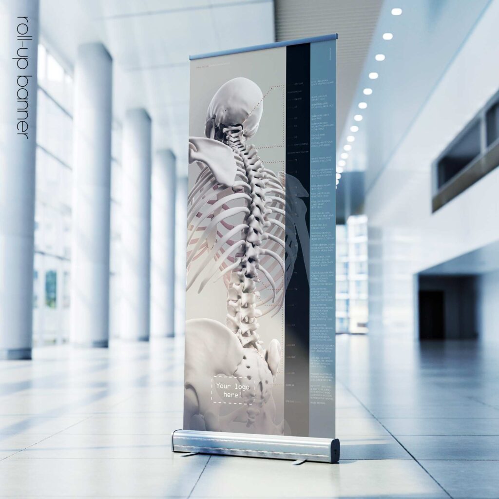Spinal Motion and controlled physiology. Educational healthcare design from educare.design