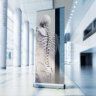 Spinal Motion and controlled physiology. Educational healthcare design from educare.design
