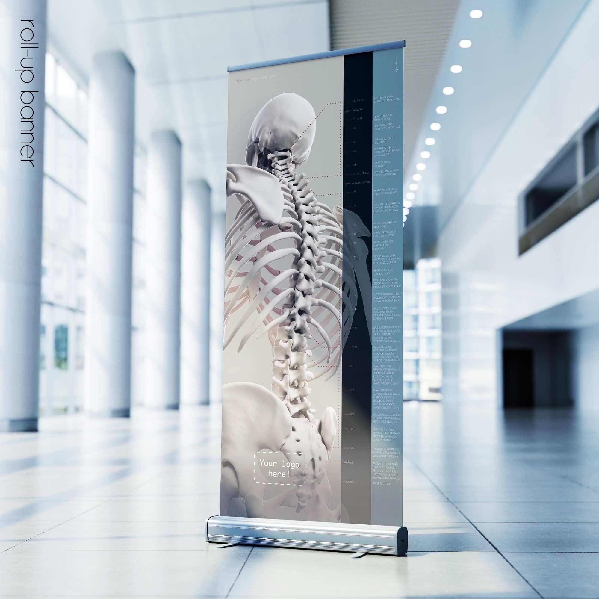 Spinal Motion and controlled physiology. Educational healthcare design from educare.design