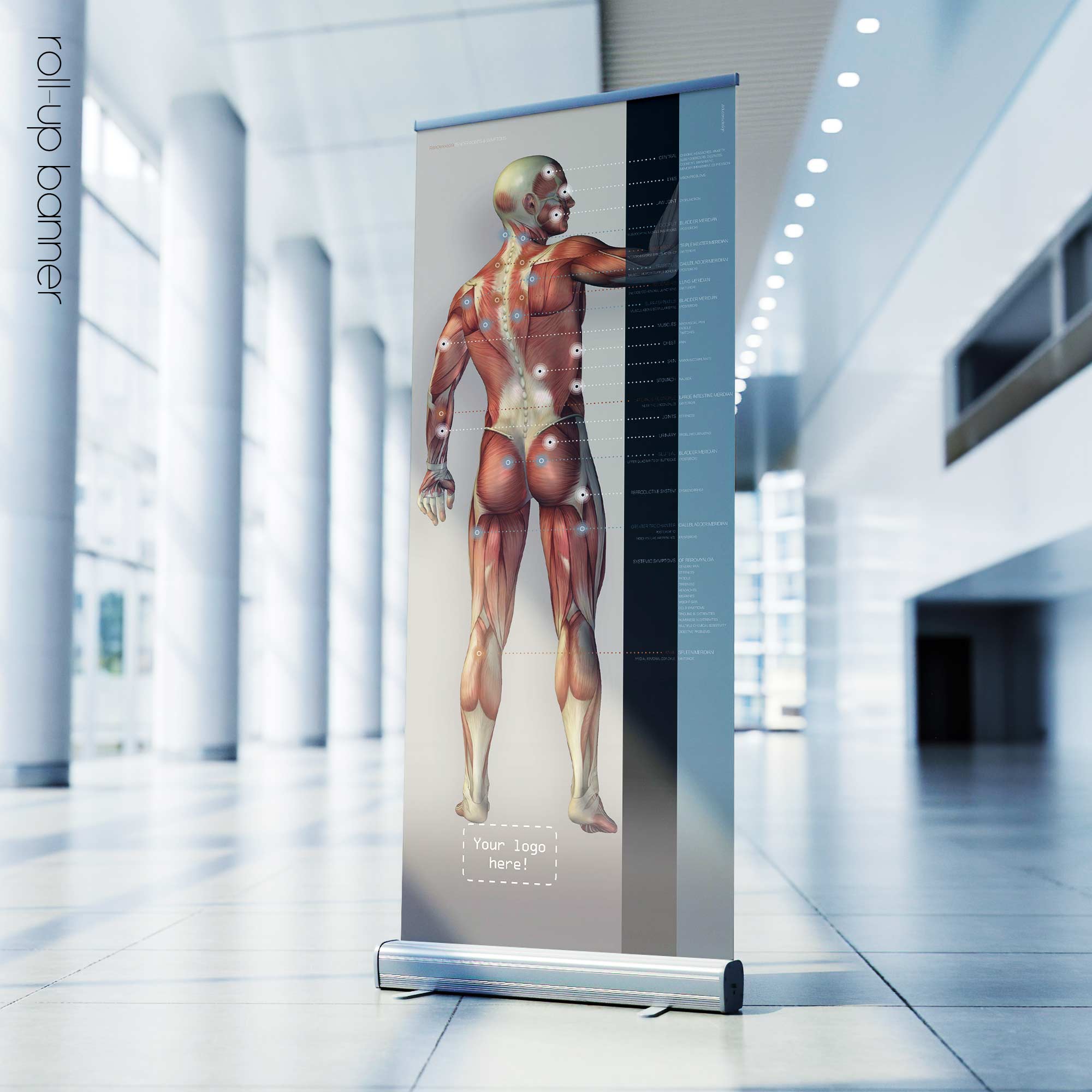 Fibromyalgia; Tender Points & Symptoms. Anatomy and physiology artwork from educare.design